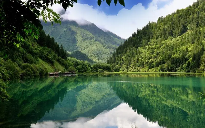 网络化全自动智慧城市